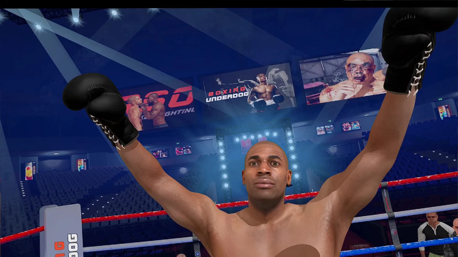 Boxing Underdog